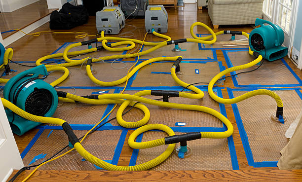 Professional Water Extraction technician working in Hampden, MA